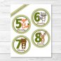 Woodland Animals Monthly Milestone DIY You Print PDF Stickers & Iron On Transfers #A191