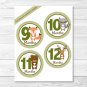 Woodland Animals Monthly Milestone DIY You Print PDF Stickers & Iron On Transfers #A191
