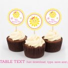 You Are My Sunshine Birthday Cupcake Toppers Party Favor Tags Editable PDF #A261