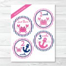 Pink Crab Nautical Monthly Milestone DIY You Print PDF Stickers & Iron On Transfers #A121