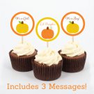 Pumpkin Chevron Gender Neutral Cupcake Toppers Party Favor Tags Printable #A400