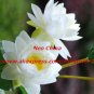 High simulation silk flower floor stand Lotus,4 heads,10 pieces/lot,four colors,free shipping