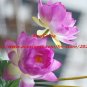High simulation silk flower floor stand Lotus,4 heads,10 pieces/lot,four colors,free shipping