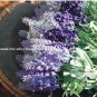 High simulation silk flower ,Lavender,20 pieces/lot,free shipping
