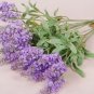 High simulation silk flower ,Lavender,20 pieces/lot,free shipping