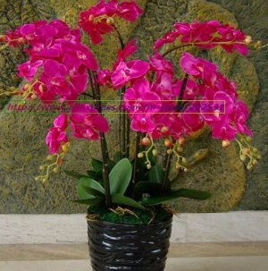 5 pcs simulation/artificial silk flower Phalaenopsis/moth orchid,Wedding/Christmas flowers