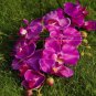5 pcs simulation/artificial silk flower Phalaenopsis/moth orchid,Wedding/Christmas flowers