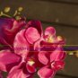 5 pcs simulation/artificial silk flower Phalaenopsis/moth orchid,Wedding/Christmas flowers