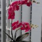 5 pcs simulation/artificial silk flower Phalaenopsis/moth orchid,Wedding/Christmas flowers