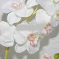5 pcs simulation/artificial silk flower Phalaenopsis/moth orchid,Wedding/Christmas flowers