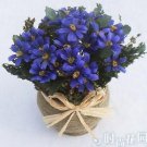 10 PCS,Christmas simulation silk flower/artificial flower,Beauty chrysanthemum including the pot