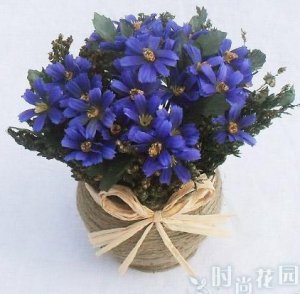 10 PCS,Christmas simulation silk flower/artificial flower,Beauty chrysanthemum including the pot