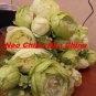 50PCS, Christmas/wedding bouquet,High simulation silk flower/artificial flower,9 flowers peony