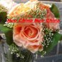 50PCS,wedding bouquet,High simulation silk flower/artificial flower,bride bouquets, 6 rose per bunch