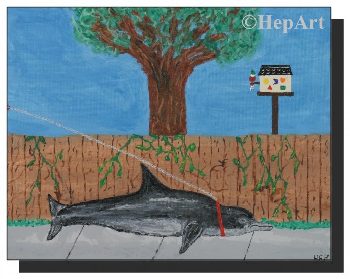 Walking the Dolphin