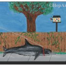 Walking the Dolphin