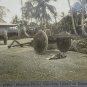 Keystone stereoview Mission Home Guam primitive cart