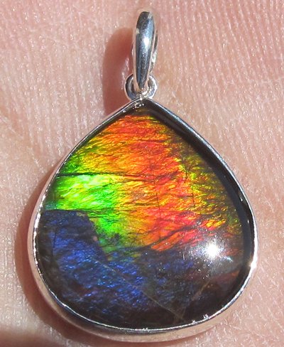 Ultimate Grade AA Multiple Colors Ammolite Ammonite Sterling Silver Pendant