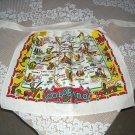 Vintage Cactus Cloth Apron / Colorado Sackcloth / Half Apron