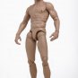 Hot Toys TrueType Male Figure Body Muscular Caucasian Ver. 12 Inch Figure Body