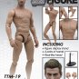 Hot Toys TrueType Male Figure Body Muscular Caucasian Ver. 12 Inch Figure Body
