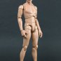 Hot Toys TrueType Figure Body Caucasian w/ Narrow Shoulder 12 Inch Figure Body