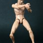 Hot Toys TrueType Figure Body Caucasian w/ Narrow Shoulder 12 Inch Figure Body