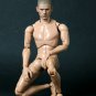 Hot Toys TrueType Figure Body Caucasian w/ Narrow Shoulder 12 Inch Figure Body