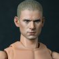 Hot Toys TrueType Figure Body Caucasian w/ Narrow Shoulder 12 Inch Figure Body