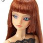 J-Doll X-131 Melrose Ave Collectible Fashion Doll