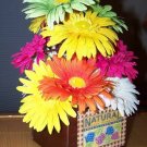 Gerbera Daisies in wood rustic seed box