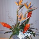 Stunning Birds of Paradise and Ginger in Mosaic bowl
