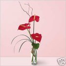 ELEGANT TROPICAL FLORAL ARRANGEMENT OF RED ANTHIRIUM