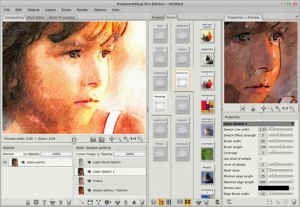 PWS Pro, If You Love PhotoShop You'll Love This, Look At New Photos