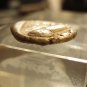 *POLY*Attica Athens AR tetradrachm C041