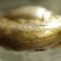 *POLY*AIGINA ATTICA ARCHAIC STATER C077