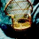 Wicker Doll chair