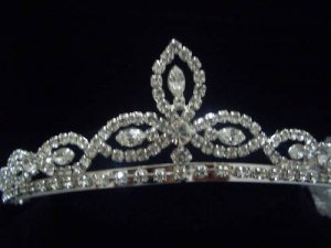NEW Bridal Party Prom Veil Crystal Crown Tiara T18