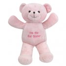 Personalized teddy bear in pink