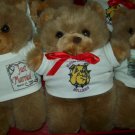 Teddy bear with personalized t-shirt
