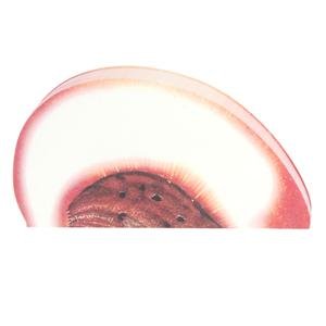 Peach Shaped Notepad
