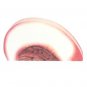 Peach Shaped Notepad