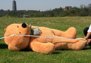 teddy bear  &free shipping&5.2feet