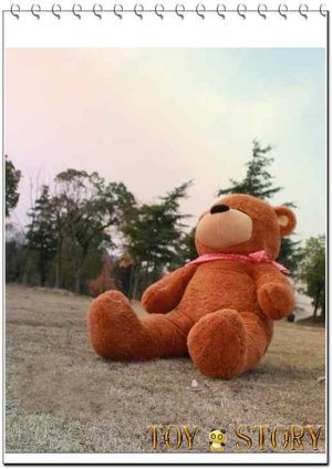 sleep bear &1.2m