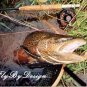 Furled 6# Test Clear 5 Ft Fluorocarbon Fly Leader 4-6wt