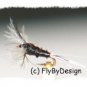 Trico CDC Biot Spinner - One Dozen Flies - Hook Size 20