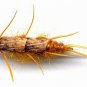 GOLDEN Double Bead STONEFLY Nymph Twelve Size 6 Flies