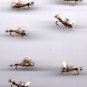 Hares Ear Parachute - 12 Dry Fly Fishing Flies- Size 10