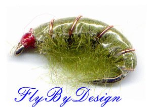 Olive Scud Fly Fishing Nymphs - Twelve Flies Size 18