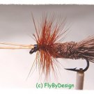 Goddard Caddis Dry Fly Fishing Flies - Twelve Size 14